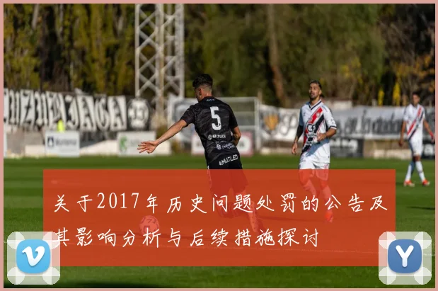 关于2017年历史问题处罚的公告及其影响分析与后续措施探讨